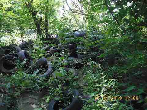 19171 Danbury (4)_m.jpg